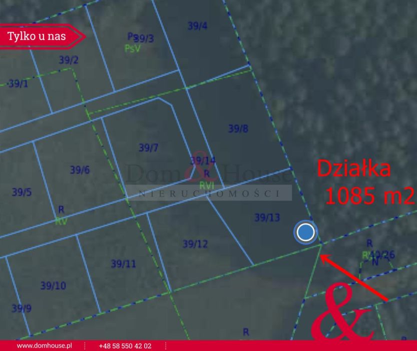 Działki na Kaszubach z granicą Lasu: zdjecie 98870347