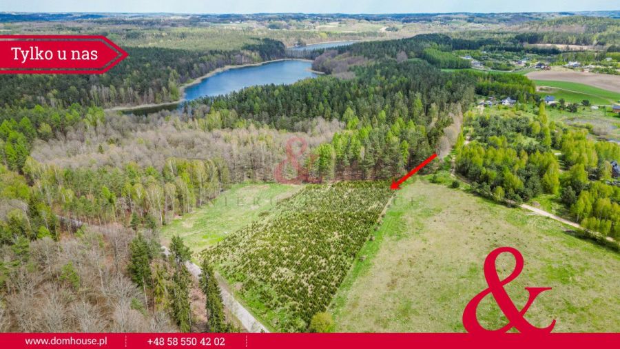 Działki na Kaszubach z granicą Lasu: zdjecie 98870348