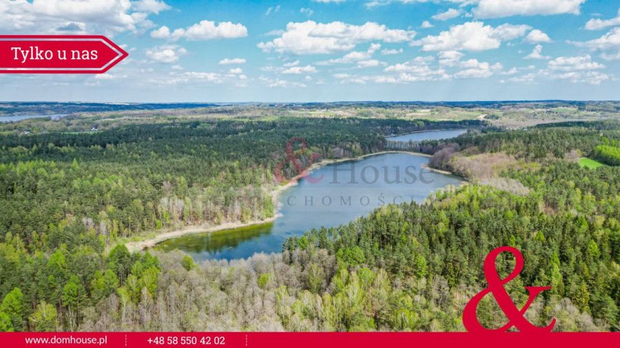 Działki na Kaszubach z granicą Lasu: zdjecie 98870349