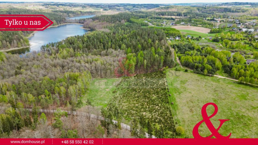 Działki na Kaszubach z granicą Lasu: zdjecie 98870350
