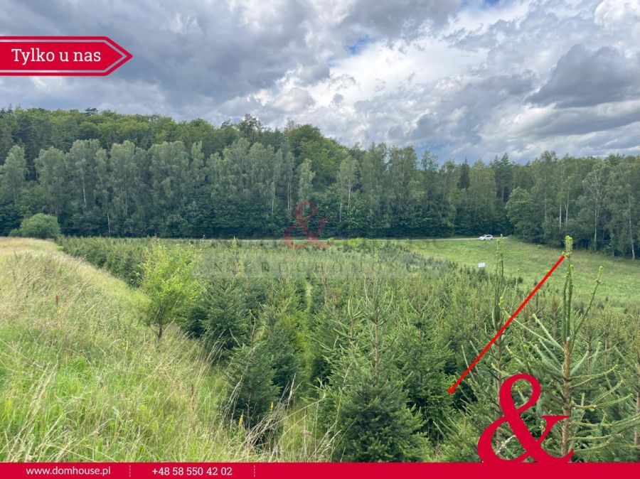 Działki na Kaszubach z granicą Lasu: zdjecie 98870337