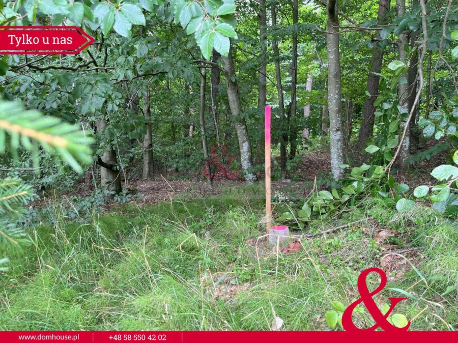 Działki na Kaszubach z granicą Lasu: zdjecie 98870342