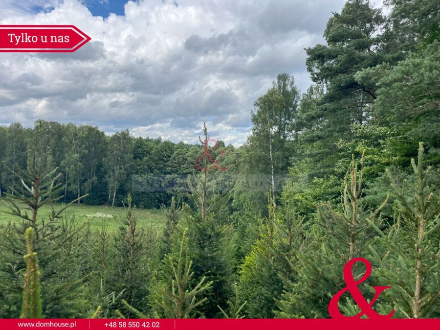 Działki na Kaszubach z granicą Lasu: zdjecie 98870345