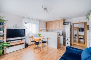 Słoneczne 2 pokoje - Gdańsk, Zakoniczyn: zdjecie 66441601