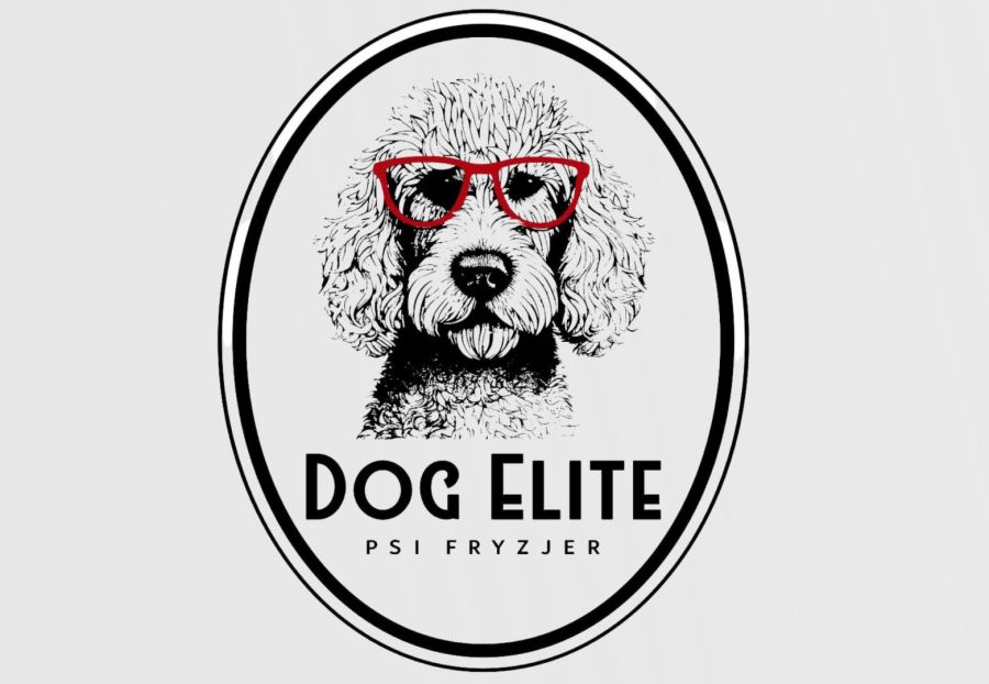 Groomer - psi fryzjer w salonie Dog Elite Gdańsk: zdjęcie 98623408