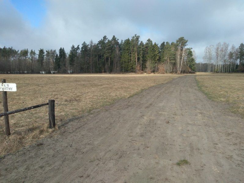 Działka budowlana Bieszkowice: zdjęcie 98628067