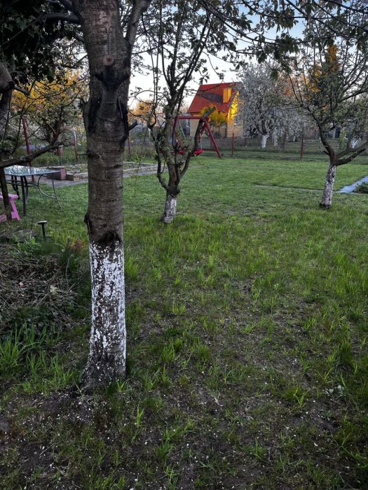 Sprzedam prawa do działki ROD: zdjęcie 98633973