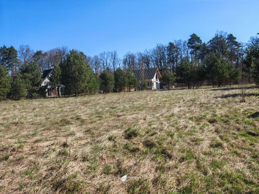 Działka 1170m2 Czapielsk, warunki zabudowy, media: zdjęcie 98633870