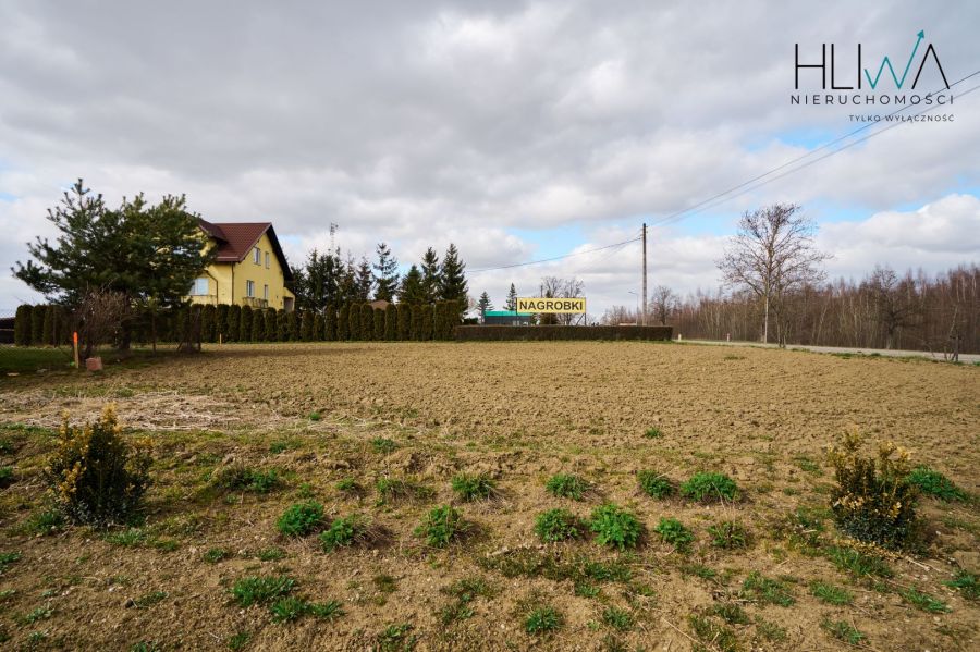 Różyny, ul. Gdańska, działka budowlana 837 m2: zdjęcie 98635633
