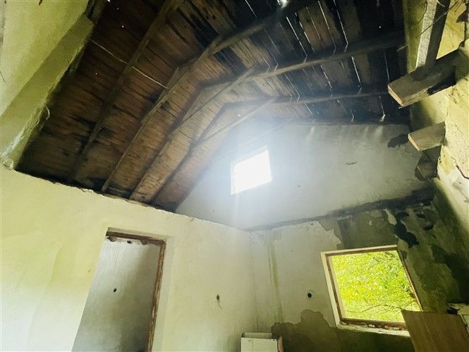 udział 1/2 działek o łącznej pow. 23929 m2 Starogard Gdański: zdjęcie 98636185