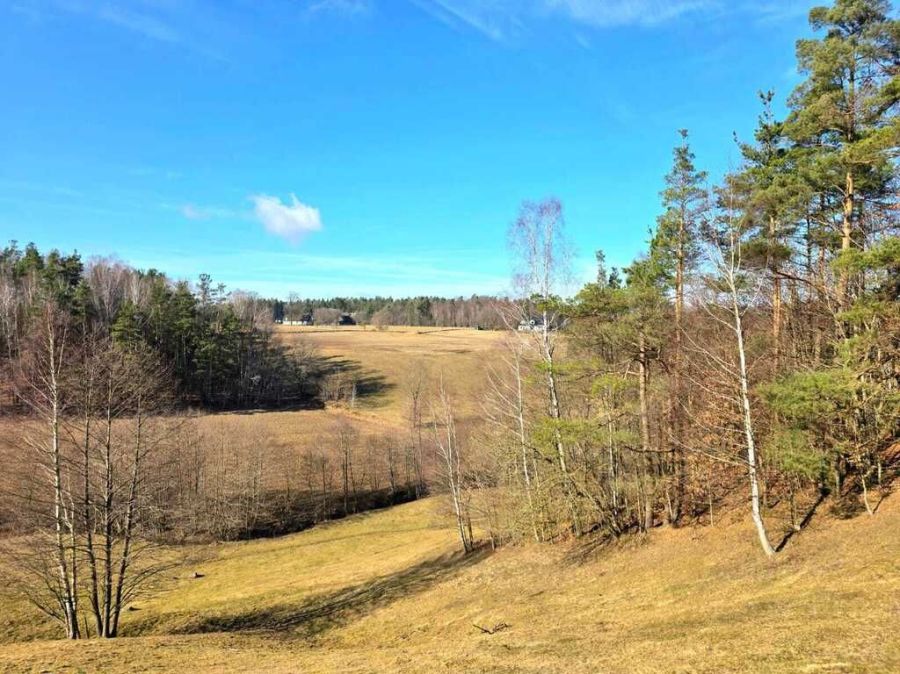 Blisko S6|widokowa działka|wszytsko pod ręką: zdjęcie 98638474
