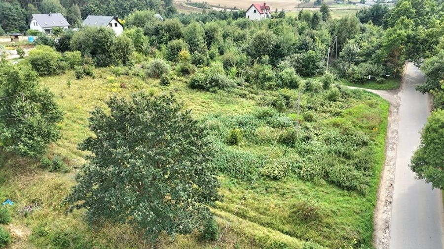 WZ|możliwy zakup kilku działek|600 m PKM|las: zdjęcie 98638486