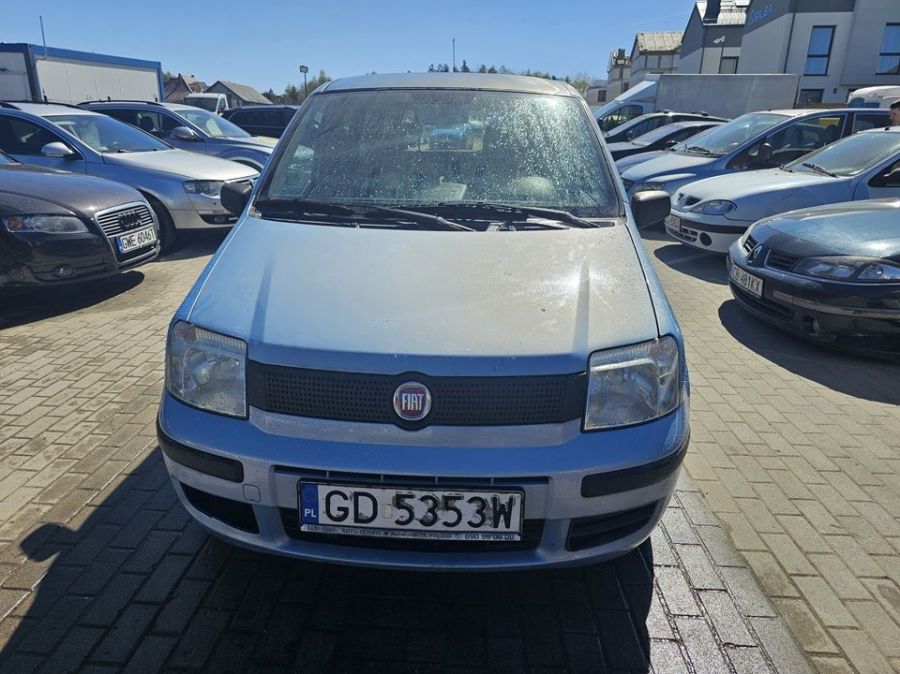 Fiat Panda 2009r/1.1 benzyna/54KM/PT na rok/wspomaganie/niski przebieg: zdjęcie 98640513