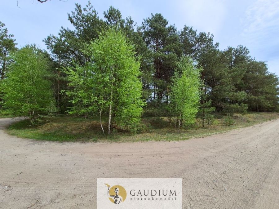 Leśna bajka | działka budowlana | Bartoszylas: zdjęcie 98642506