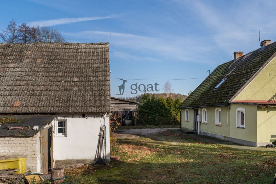 Wycinki | 32000m2 | Inwestycja | Bory Tucholskie: zdjecie 98827137