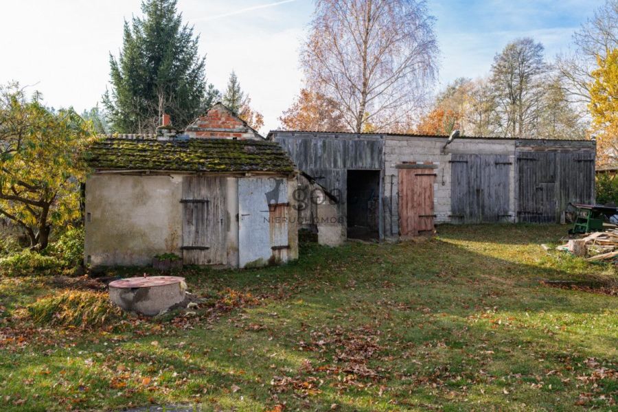 Wycinki | 32000m2 | Inwestycja | Bory Tucholskie: zdjecie 98827140