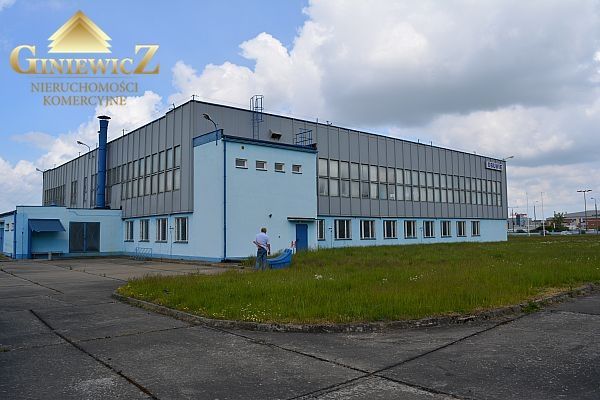 Powierzchnia handlowo usługowo produkcyjna: zdjęcie 98647057