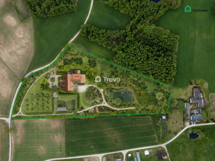 Działka (Siedliskowa) - Liniewko Kościerskie: zdjęcie 98778790