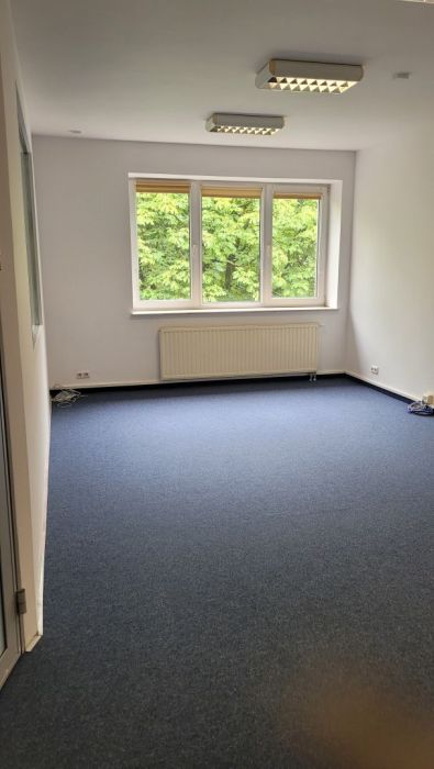 Lokal 2 pokoje 50 m2: zdjęcie 98655045