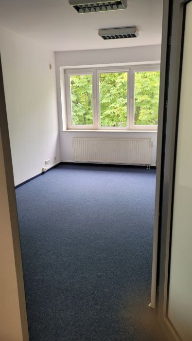 Lokal 2 pokoje 50 m2: zdjęcie 98655047