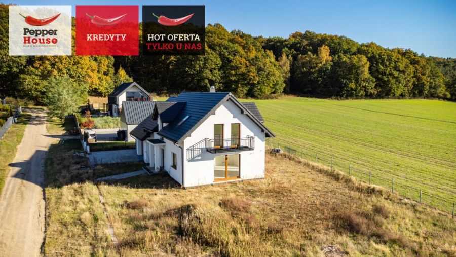Nowoczesny dom w otoczeniu jeziora i lasu: zdjecie 99085210