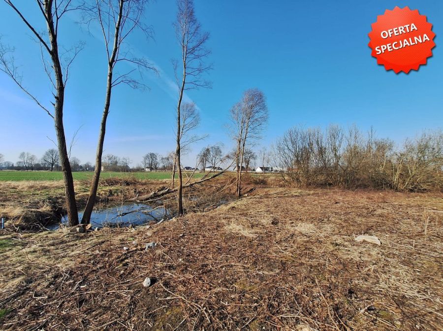 Cisy- działka mieszkaniowo usługowa o pow. 4797 m2: zdjęcie 98665219