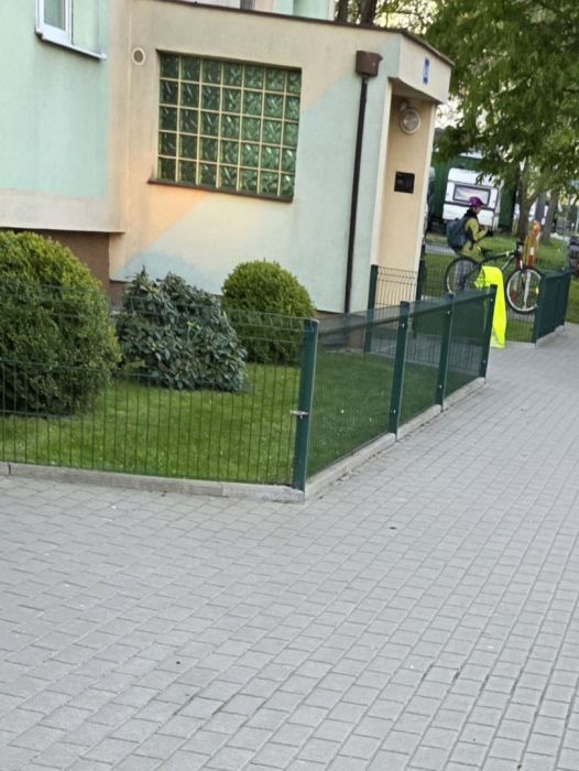 Oferuje koszenie trawy: zdjęcie 98667496