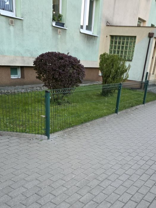 Oferuje koszenie trawy: zdjęcie 98667497