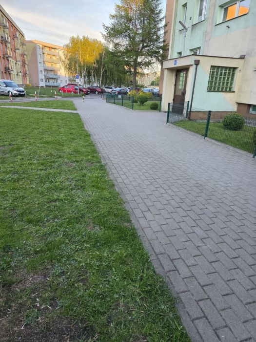 Oferuje koszenie trawy: zdjęcie 98667498