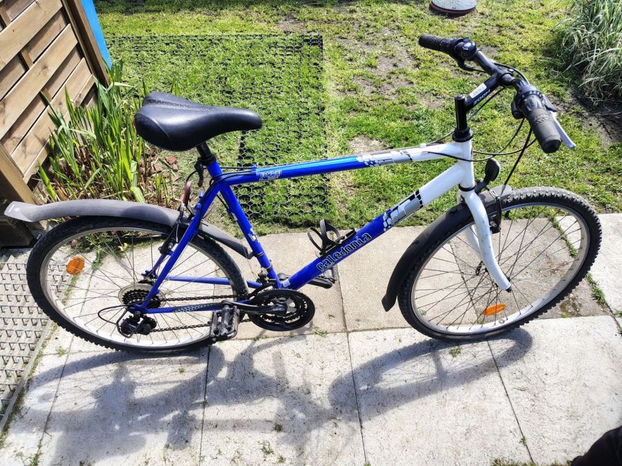 rower meski caledonia mt 260: zdjęcie 98668942