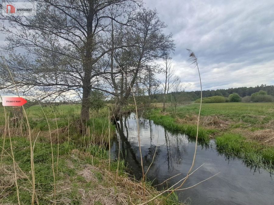 Działka 1,33 ha Nad rzeką wierzyca-LIPY-struga!: zdjęcie 98673355