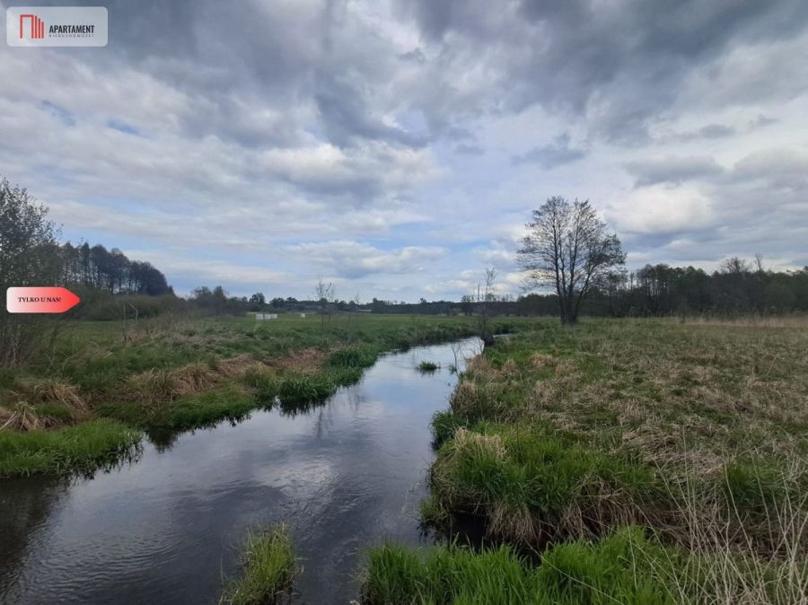 Działka 1,33 ha Nad rzeką wierzyca-LIPY-struga!: zdjęcie 98673356