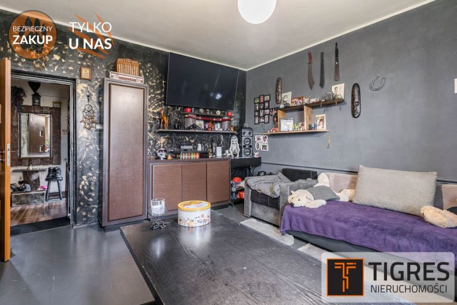 Morze / las / rozkładowe: zdjęcie 98673376