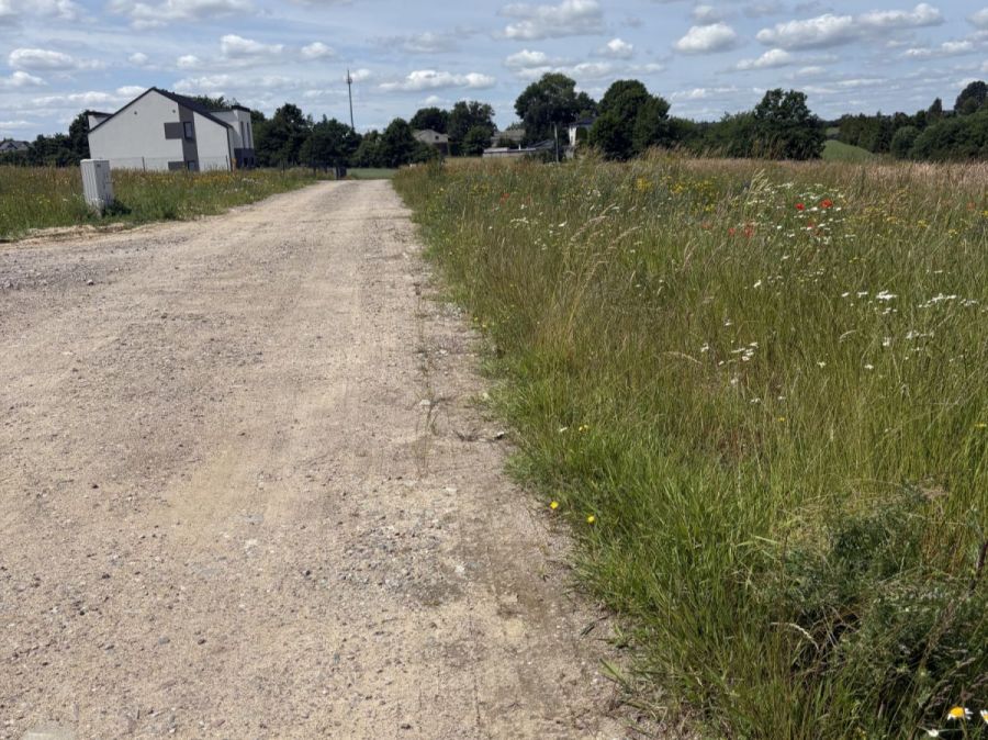 Atrakcyjne działki do zabudowy na Grabowej!: zdjęcie 98675029