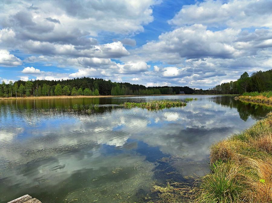 Działki budowlane, 100m od jeziora: zdjęcie 98676161