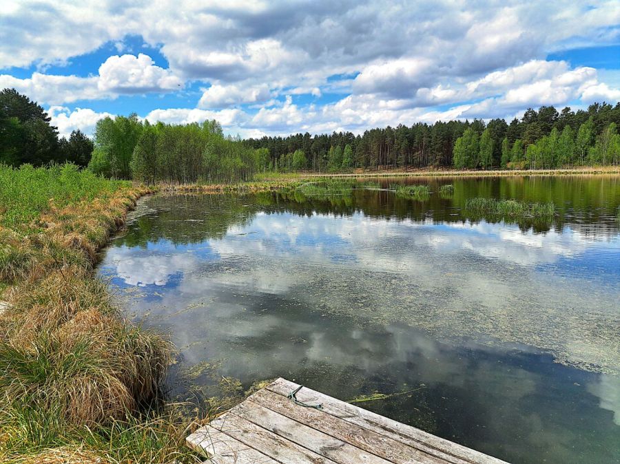 Działki budowlane, 100m od jeziora: zdjęcie 98676162