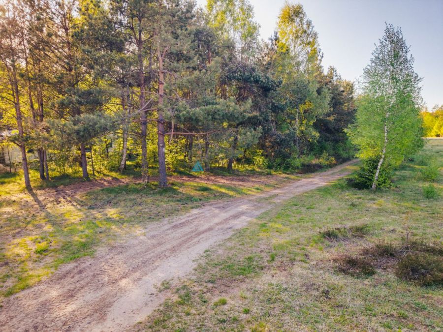 Będargowo duża działka inwestycyjna: zdjęcie 98721469