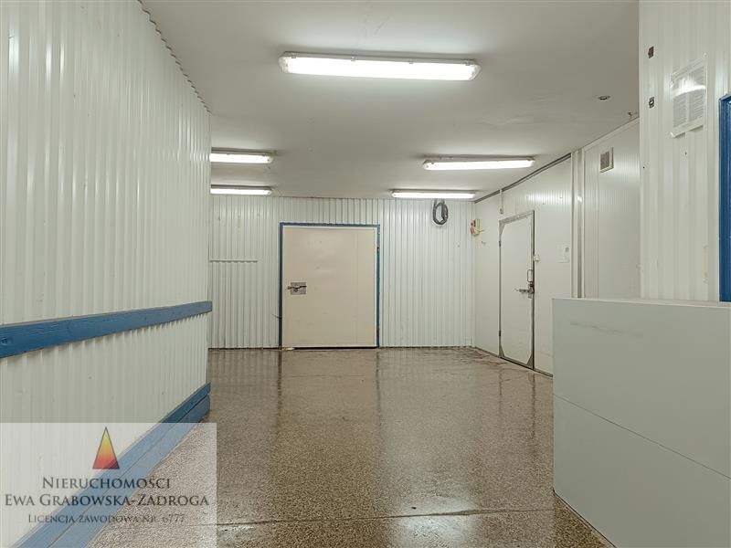 Magazyn - Gdynia Chylonia: zdjęcie 98686540