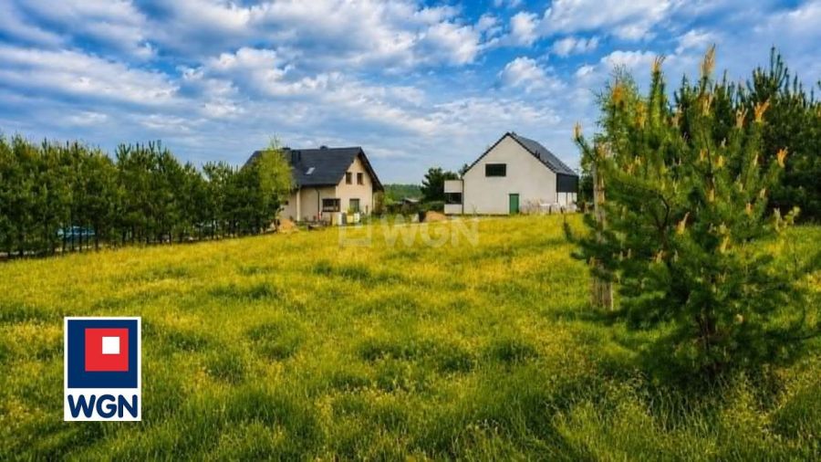 Niestępowo  Kasztanowa: zdjęcie 98687828