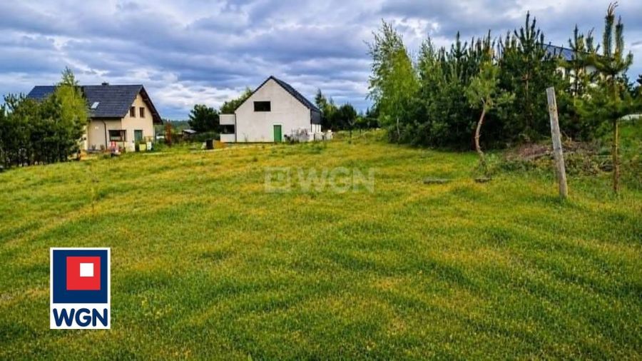 Niestępowo  Kasztanowa: zdjęcie 98687829