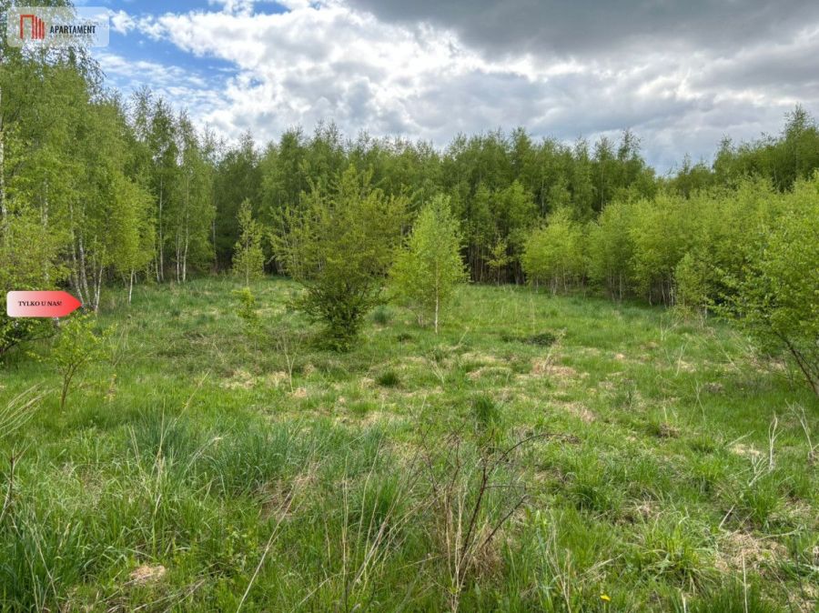 Działka Borcz 3069 m2 MPZP: zdjęcie 98688904