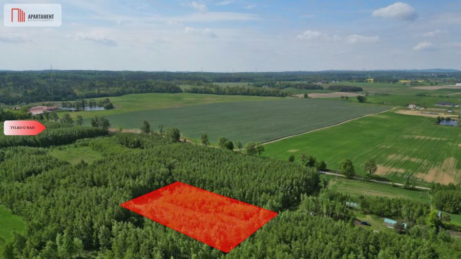 Działka Borcz 3069 m2 MPZP: zdjęcie 98729859