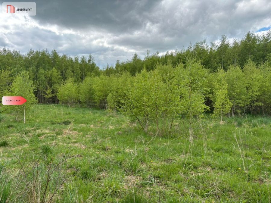 Działka Borcz 3069 m2 MPZP: zdjęcie 98688905
