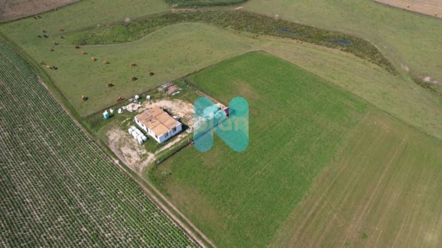 Działka budowlana na Kaszubach: zdjęcie 98690193
