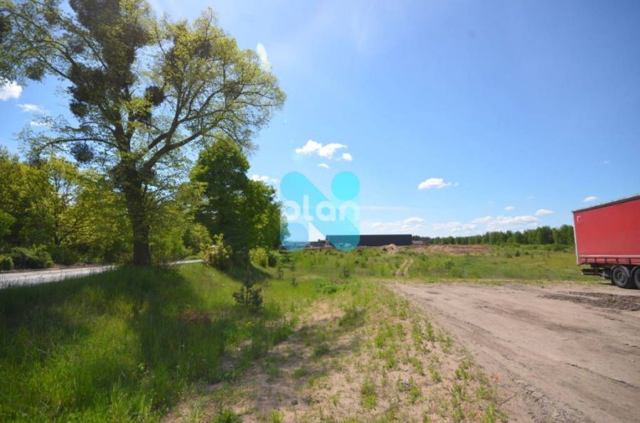 Linowiec, Biznes Park: zdjęcie 98690383