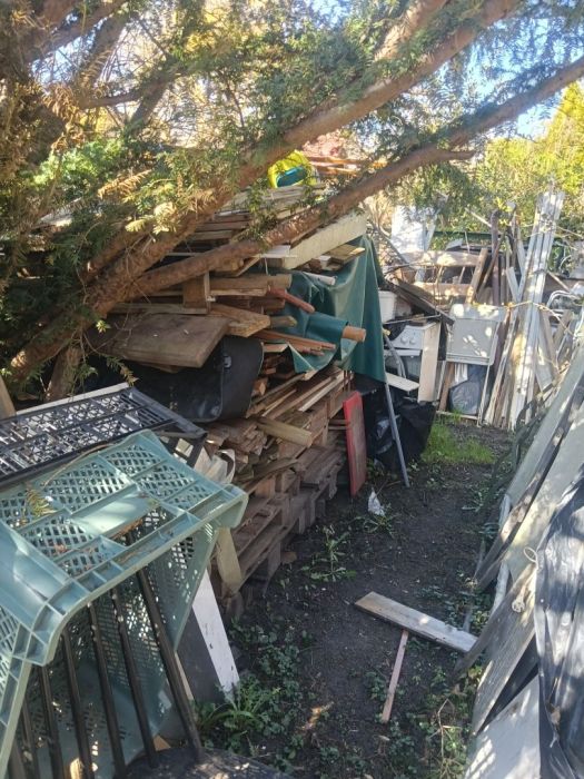 Drewno Opałowe, Złom I inne Materiały Sopot: zdjęcie 98690841