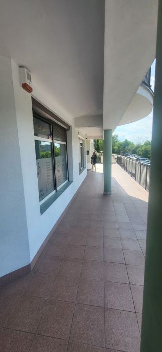 Lokal użytkowy: zdjęcie 98692752