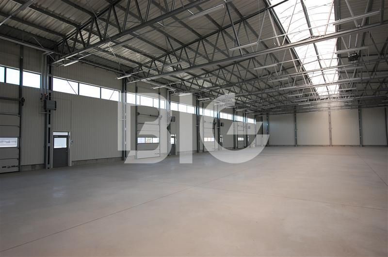 Magazyn, hala produkcyjna, Gdańsk: zdjęcie 98693840