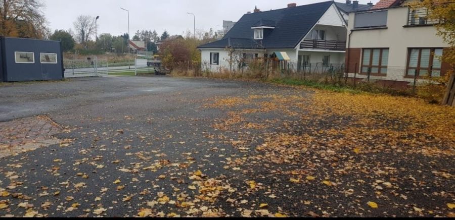 Warsztat/współpraca z mechanikiem: zdjęcie 98719645