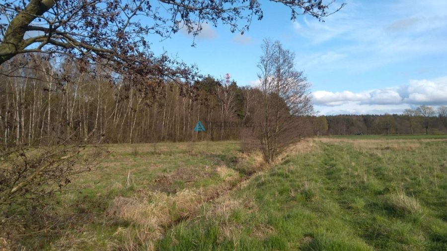 Działki z potencjałem pod zabudowę – Machowino: zdjęcie 98705718